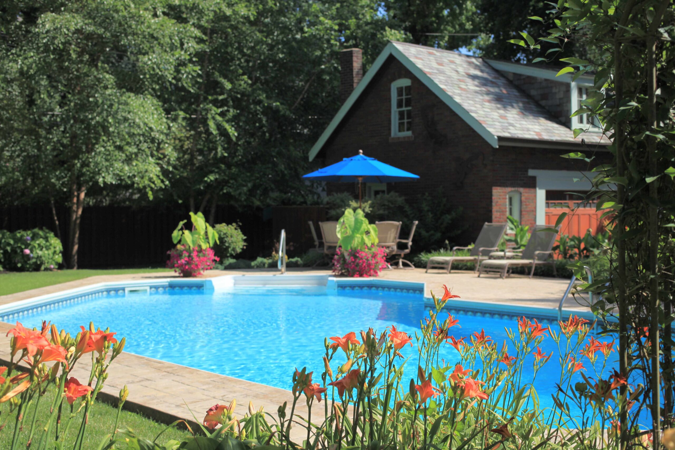 Swimming Pool in Backyard